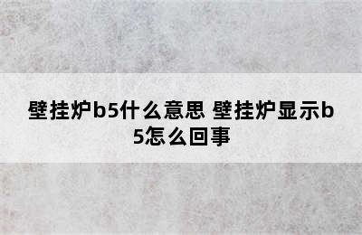 壁挂炉b5什么意思 壁挂炉显示b5怎么回事